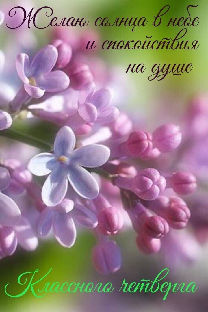 Утренние весенние картинки
