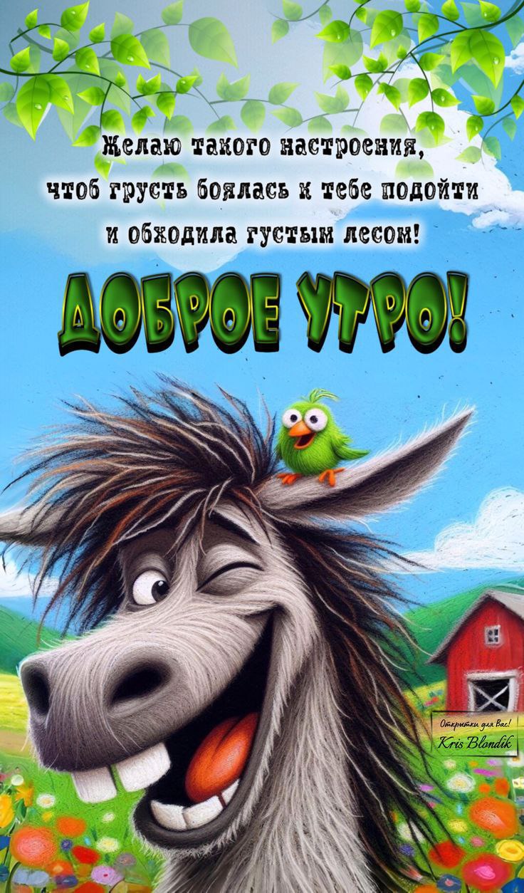 Утренние картинки