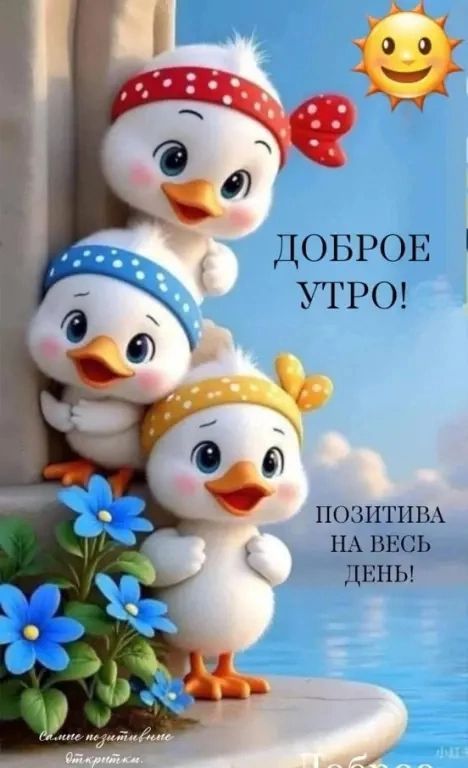 Утренние картинки