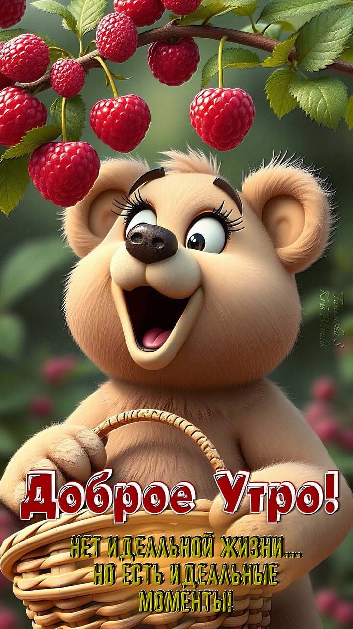 Утренние картинки