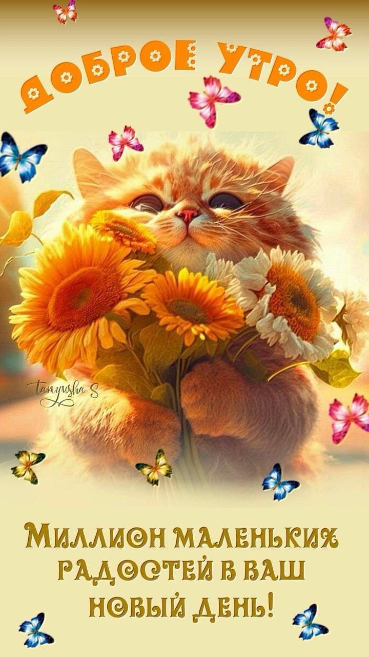 Утренние картинки