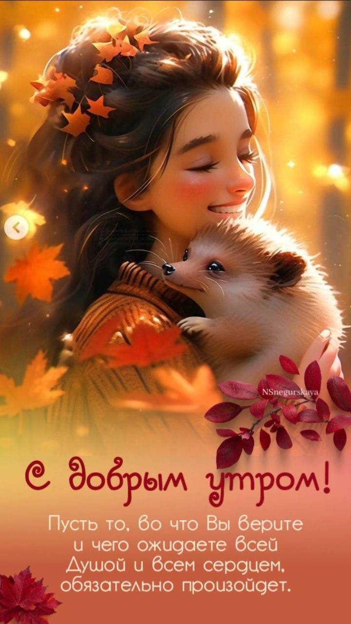 Утренние картинки