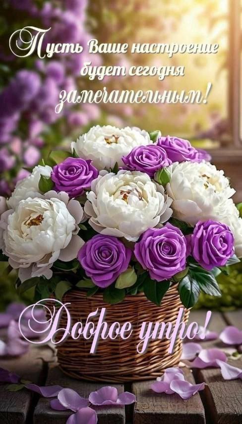 Утренние картинки