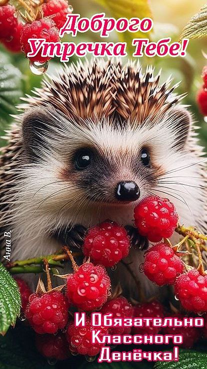 Утренние картинки